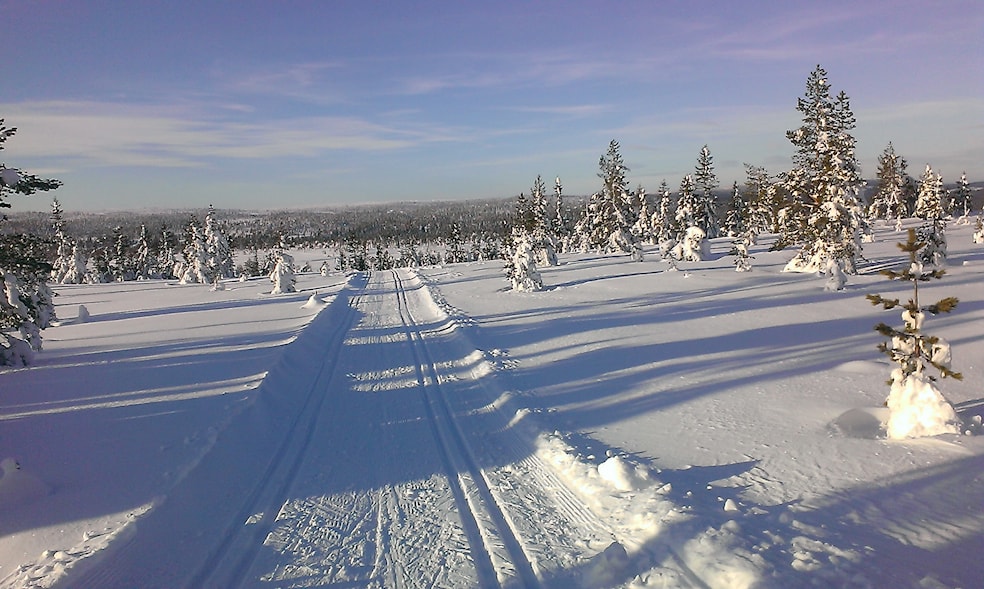 Budorrennet